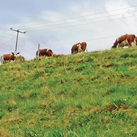 Two-bedroom With Mountain View In St Maergen Hébergement de vacances